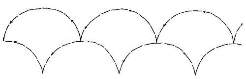 Shell - 2 rows of 3"